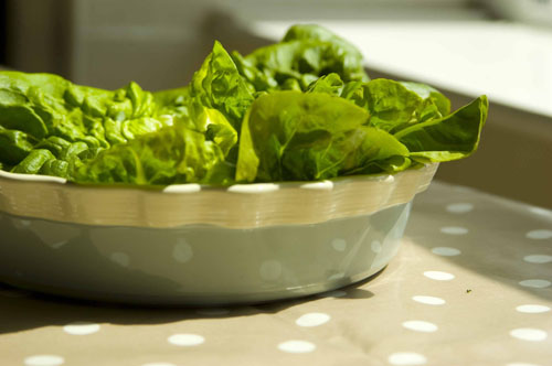 Lettuce