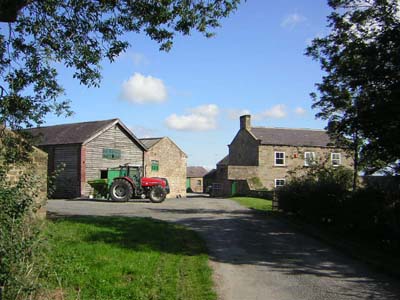 SpruistyFarm2