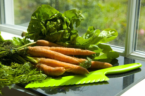 Veg
