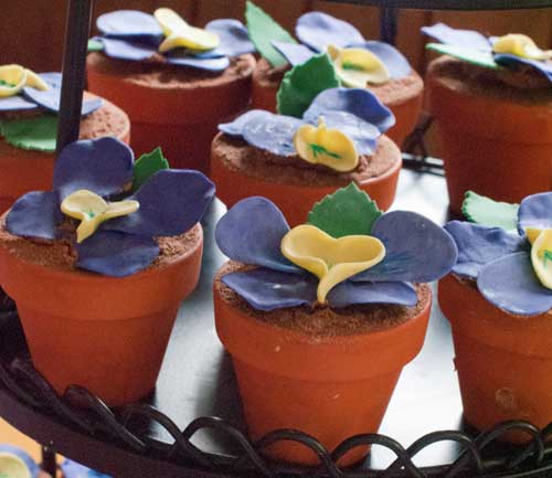 pansy-pots