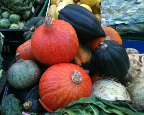 Squash