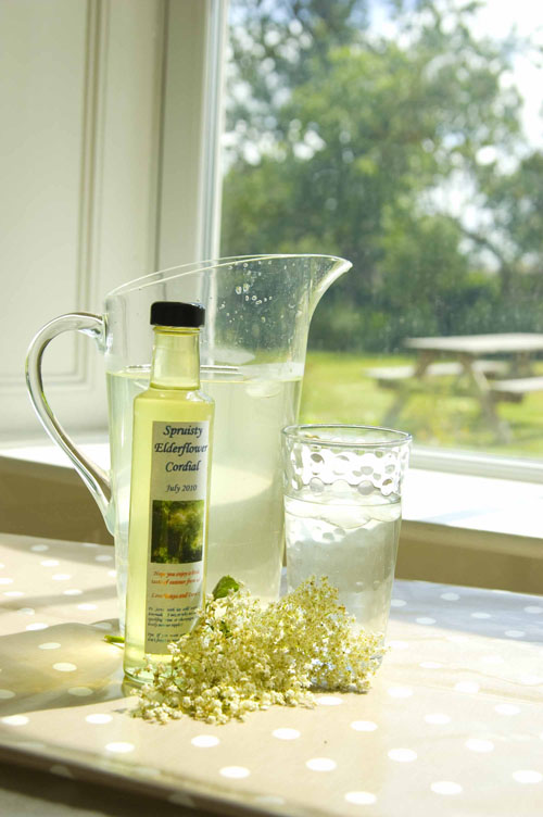 Elderflower